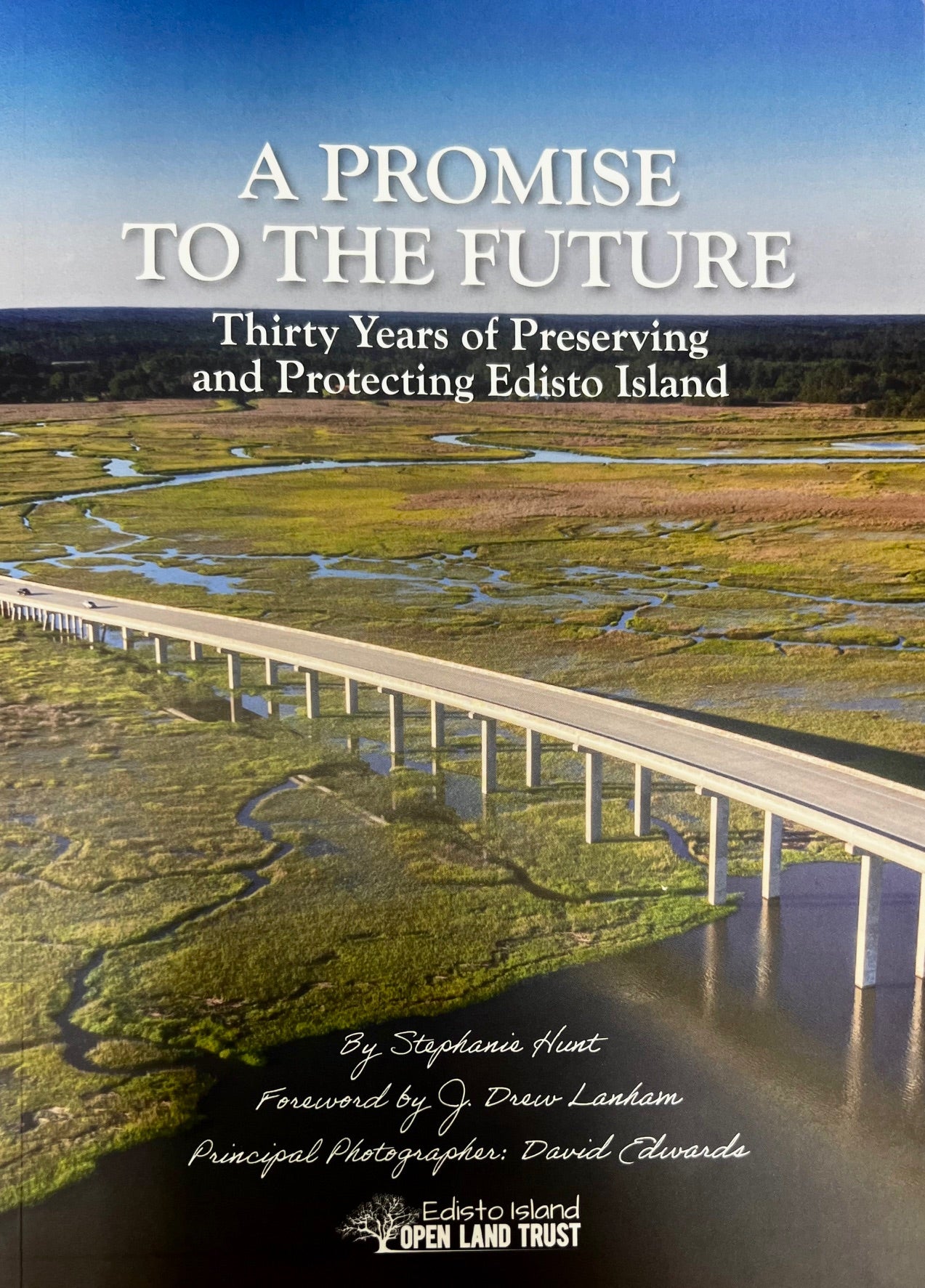 A Promise To The Future